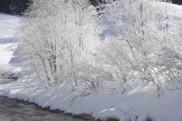 Kandersteg 2013